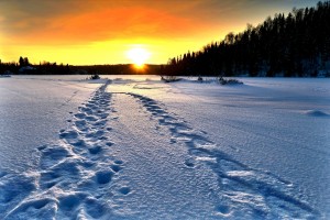 landscape 4736594 1280