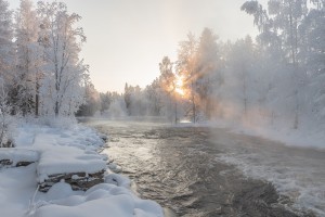 rapids 4786928 1280