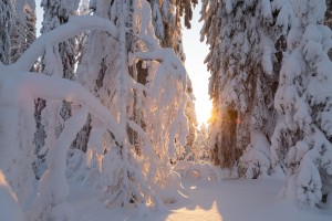 snow g4b26f7c33 1280
