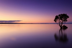 sunset 1373171 1280
