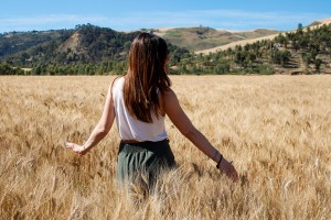 wheat 5214930 1280