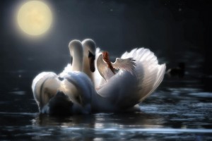 fantasy 4326808 1280