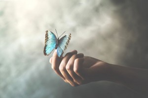 samazin shutterstock 1461665216